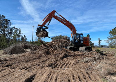 Greenwood work - excavating